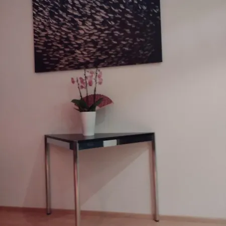 Spacious And Bright Loft In Downtown Zurigo